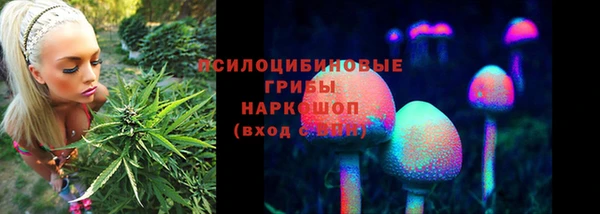 мяу мяу мука Верея