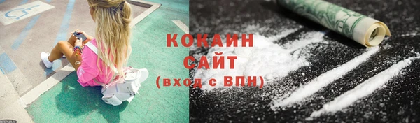 спиды Бородино